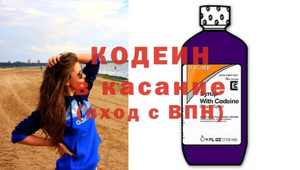 хмурый Алзамай