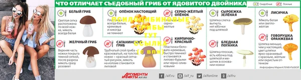 хмурый Алзамай