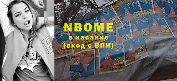 хмурый Алзамай