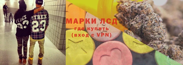 хмурый Алзамай