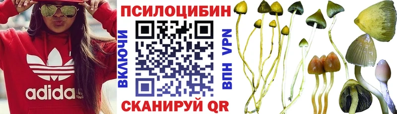 Галлюциногенные грибы Psilocybe Родники