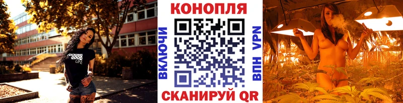 дарнет шоп  Родники  Марихуана конопля 